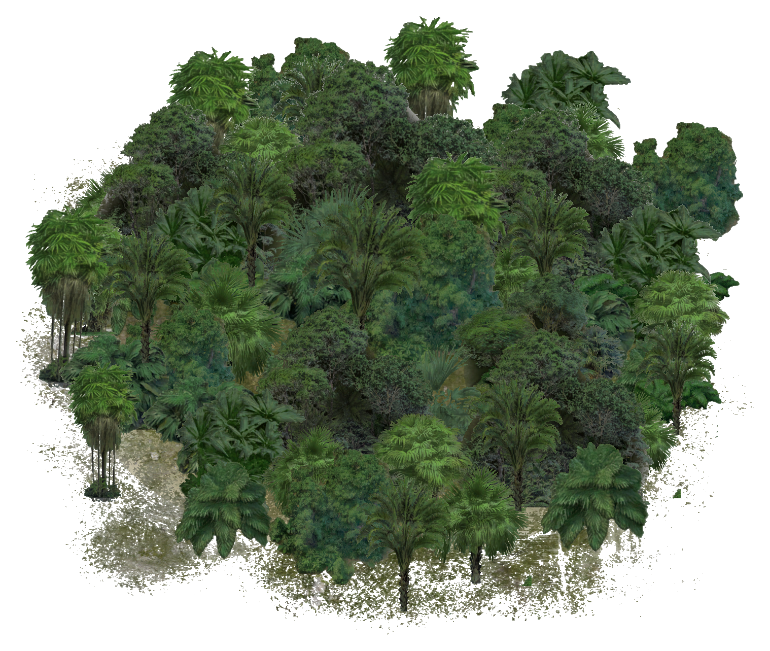 Vegetation