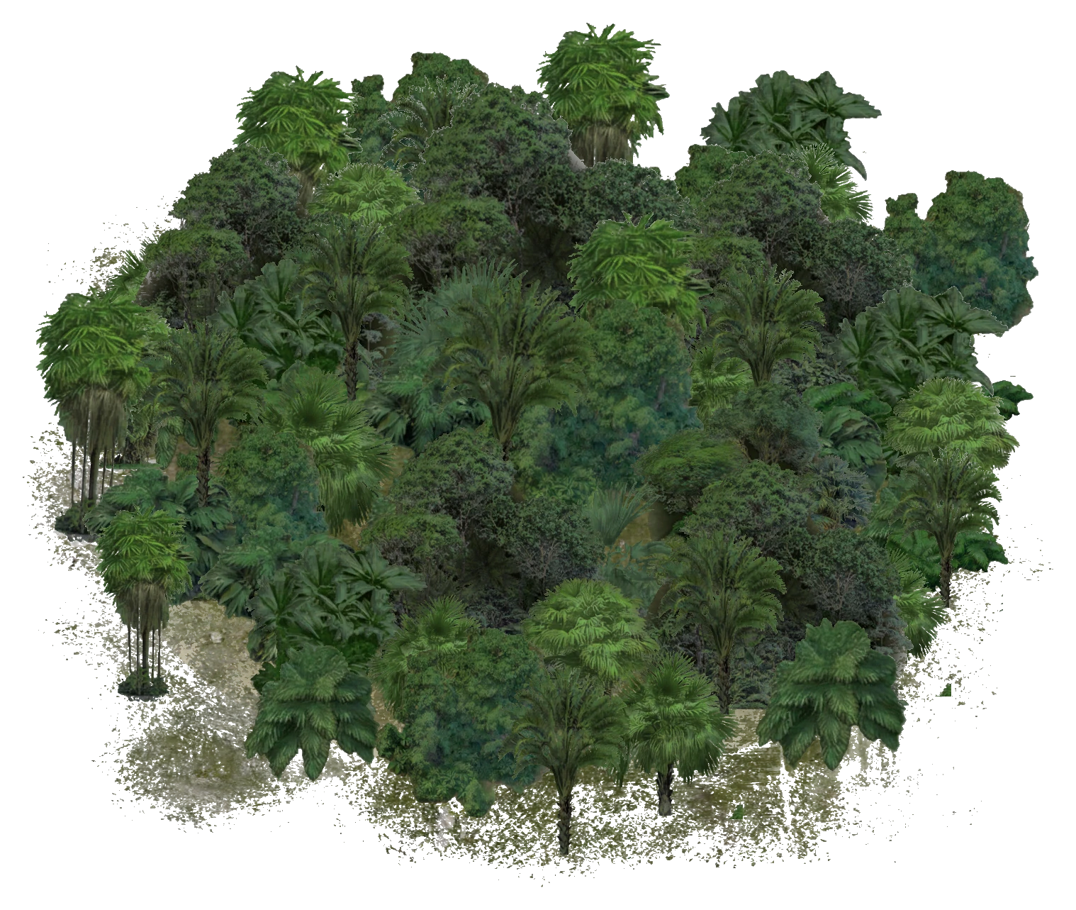 Vegetation
